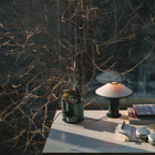Desk with a lamp, and other items against a glass window with the outdoor  branches in view.