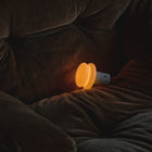 Lamp on a dark brown sofa