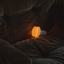 Lamp on a dark brown sofa